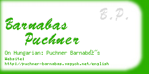 barnabas puchner business card